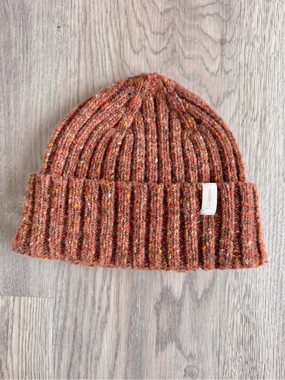 Ecologyst Ribbed Knit Beanie in Rust Speckle